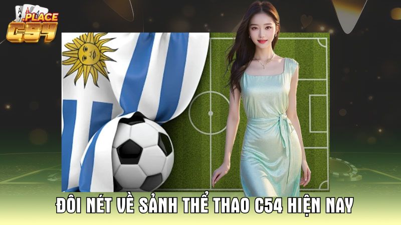 1 Doi-net-ve-sanh-the-thao-C54-hien-nay